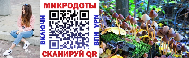 shop как зайти  Онега  Галлюциногенные грибы прущие грибы 